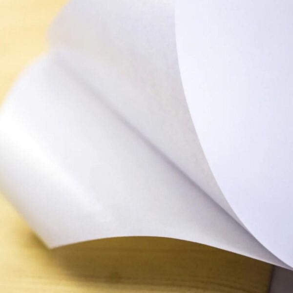 Papel irrompible con adhesivo Self BS