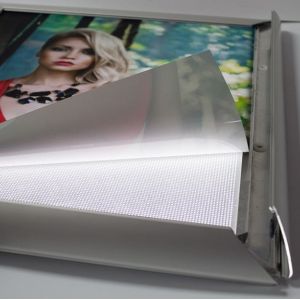 Backlit translucido para tinta agua y latex